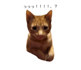 695673452