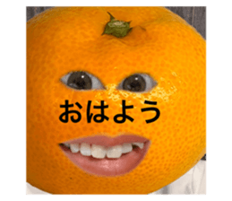 695681777