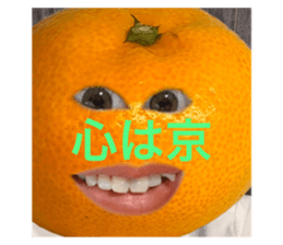 695681781