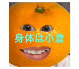 695681782