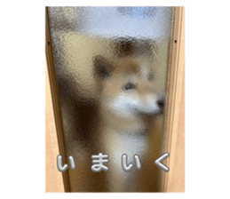 695683924