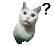 695697619