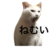 695697620