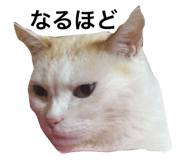 695697622