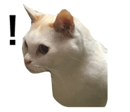 695697625