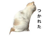 695697626