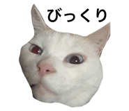 695697631