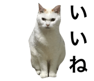 695697632