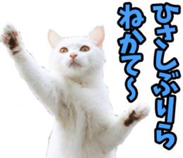 695742593