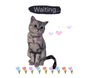 695768733
