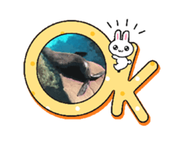 695777748