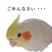 695777798