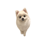 695817274