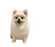 695817276