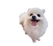 695817277