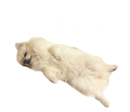 695817278