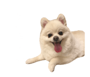 695817279