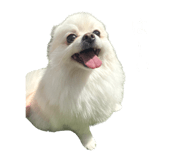 695817280