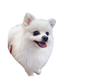 695817281