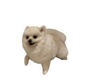 695817282