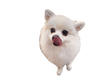 695817284
