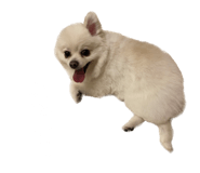 695817285