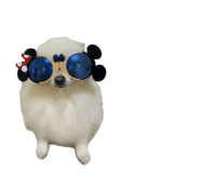 695817286