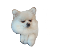 695817287