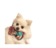 695817288