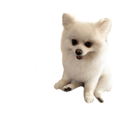 695817289