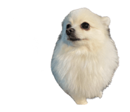 695817291