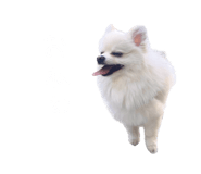 695817293