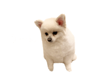 695817297