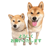 695817417