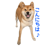 695817419