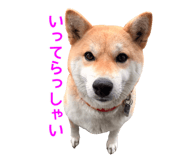 695817421