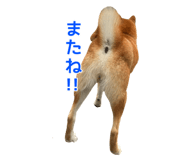 695817432