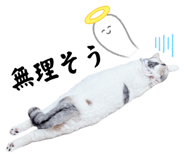 695842924