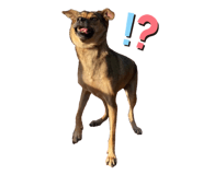695872654