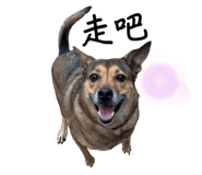 695872675