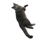 695913589