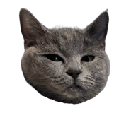 695913593