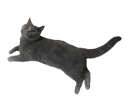 695913595
