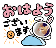 695979132