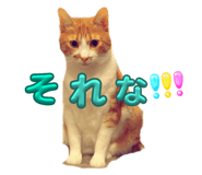 695979142