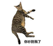 695985956