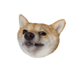 696106885