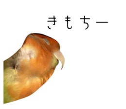 696135581