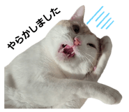 696149795