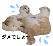 696149797